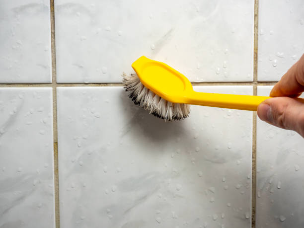 Best Toxic Mold Removal  in Penn Valley, CA