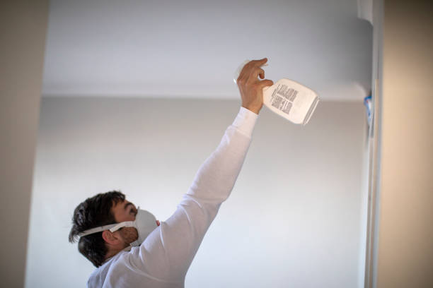 Best Certified Mold Removal  in Penn Valley, CA