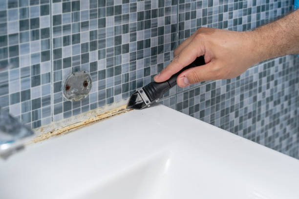 Best Home Mold Removal  in Penn Valley, CA