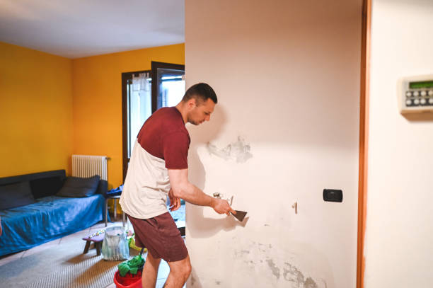 Best Mold Remediation Experts  in Penn Valley, CA