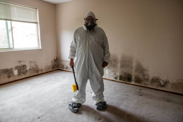 Best Mold Cleaning Services  in Penn Valley, CA